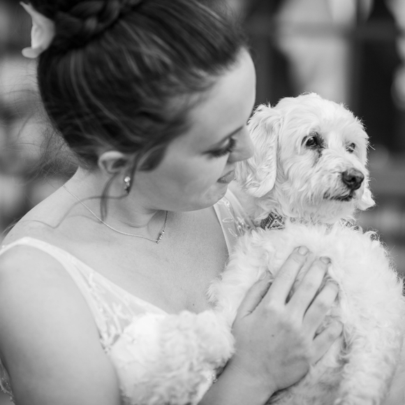 Meet the Posher - Picture 1 of 2